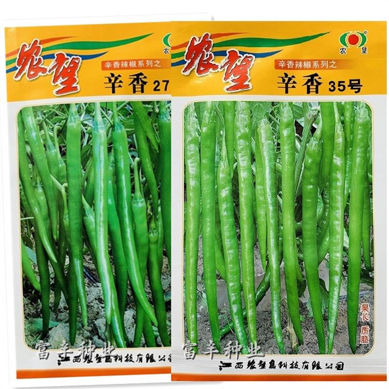 辛香27号辛香35号线椒种子特长线椒条椒杭椒种籽早熟高产味辣