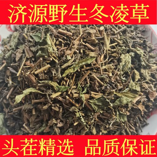 精选冬凌草中药材头茬新货