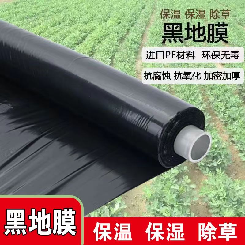 黑色农用种植地膜除草除虫防草膜黑色塑料薄膜降温种菜膜果树果园