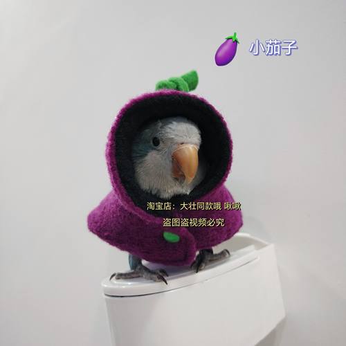 小茄子款鹦鹉披风斗篷鸟衣服鹦鹉披风玄凤加厚保暖外出服鹦鹉用品