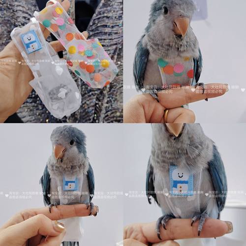 夏网纱透气鹦鹉尿不湿立体款固定肩带可调节大容量屎兜尿裤衣服