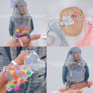 网纱透气款款虎皮牡丹玄凤鹦鹉鸟衣服小背心衣服飞行背带放飞绳