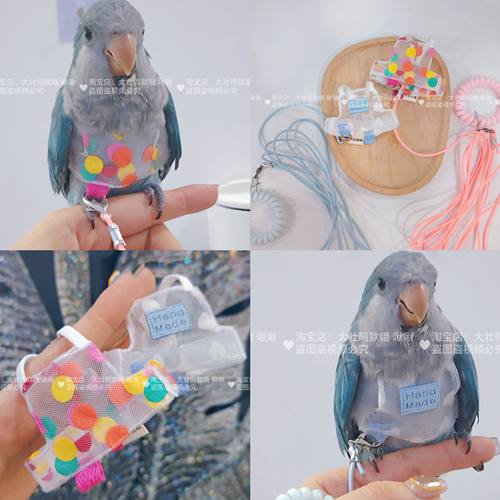 网纱透气款款虎皮牡丹玄凤鹦鹉鸟衣服小背心衣服飞行背带放飞绳