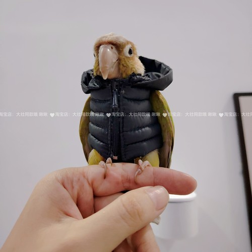 鹦鹉羽绒服鸟衣服鹦鹉棉外套玄凤加厚保暖外出服鹦鹉用品鸟用品