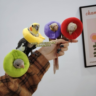 玄凤鹦鹉伊丽莎白圈受伤保护项圈牡丹虎皮防啄毛防咬毛鸟用脖套软