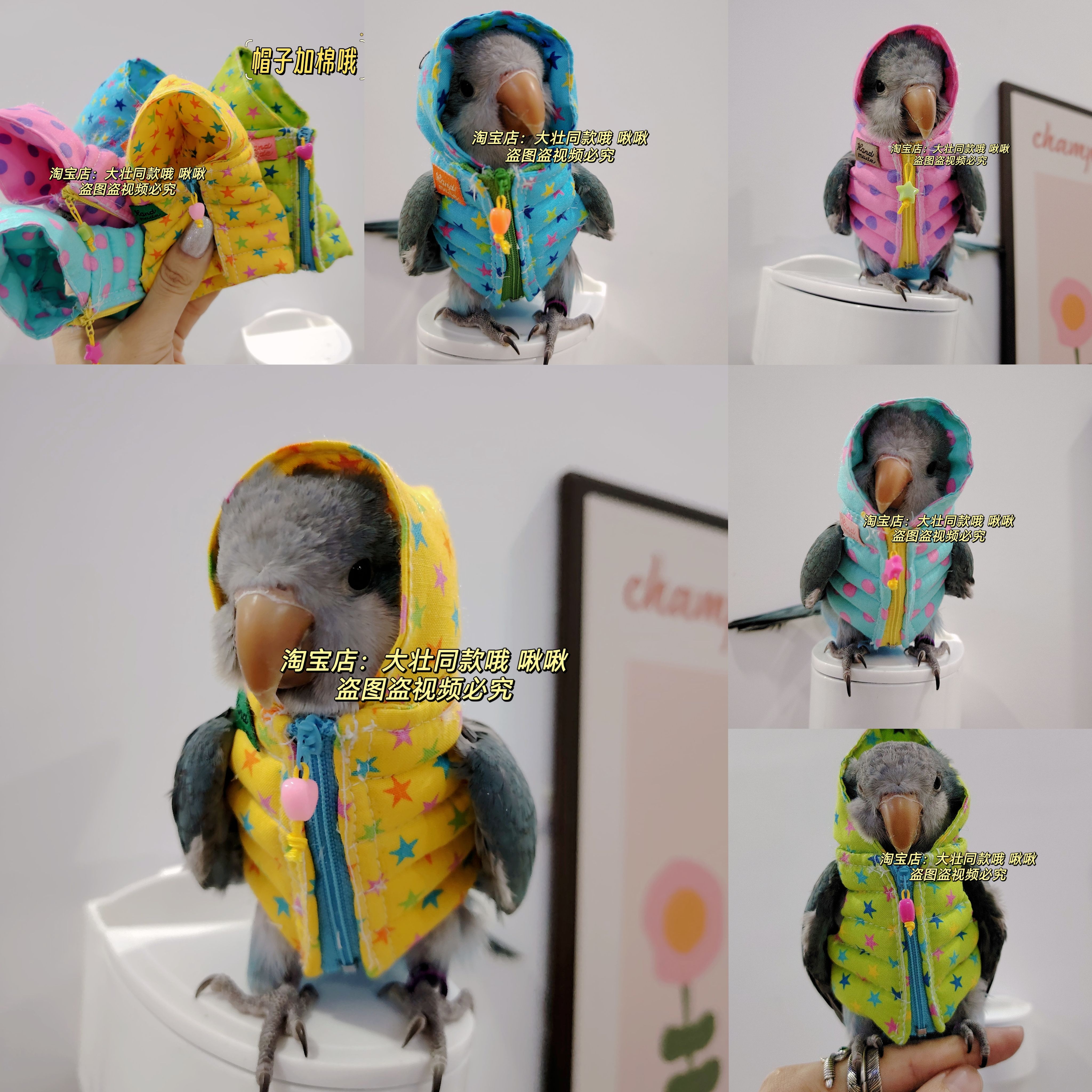 鹦鹉棉服服鸟衣服鹦鹉棉外套玄凤加厚保暖外出服鹦鹉用品鸟用品