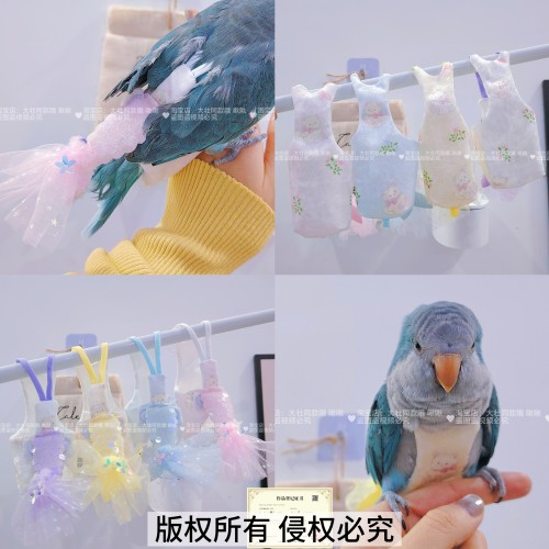 美人鱼尾款按扣款立体无侧缝鹦鹉鸟用尿不湿玄凤牡丹屎尿便兜尿裤