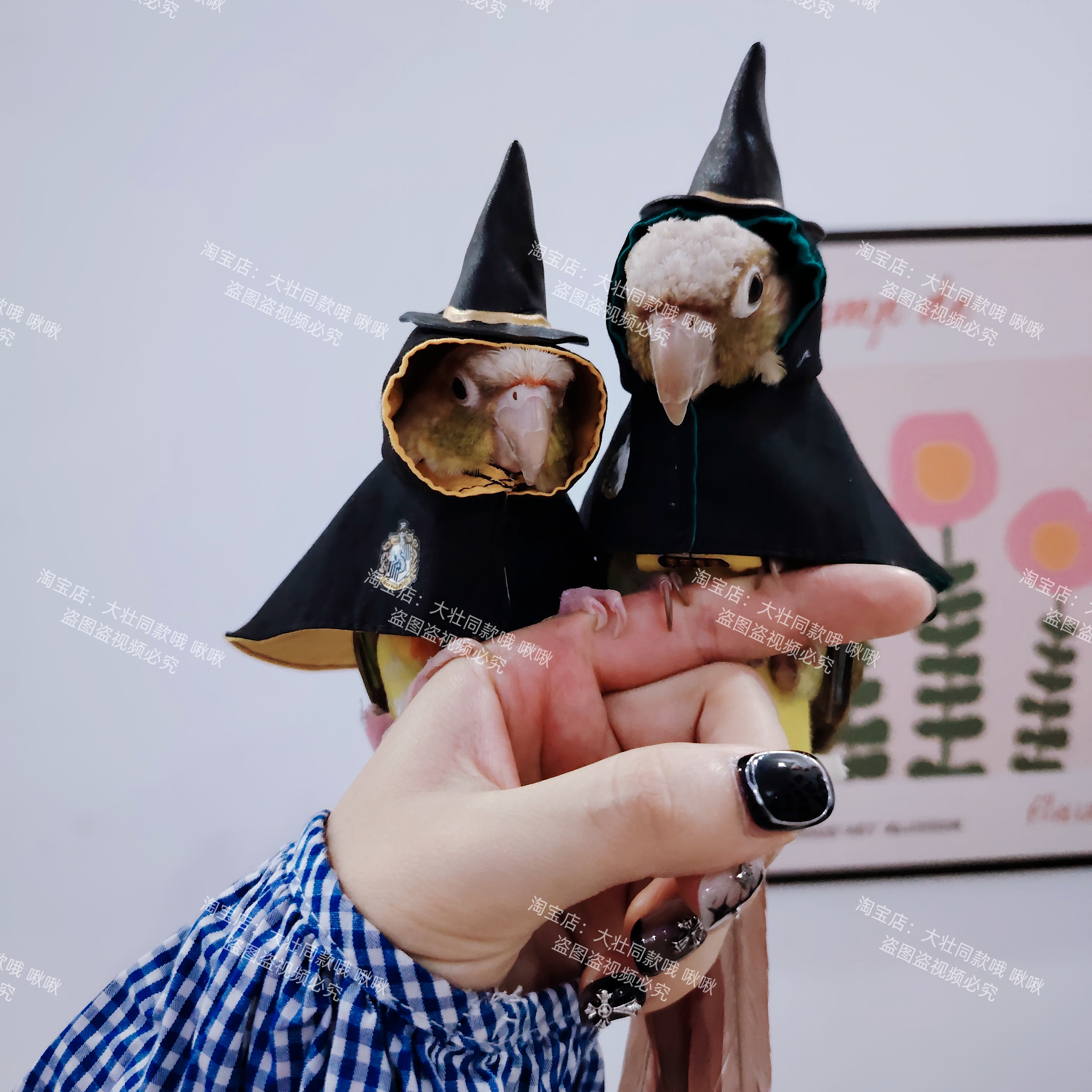 鸟衣服鹦鹉披风斗篷玄凤加厚保暖外出服魔法师可爱小围兜脖圈