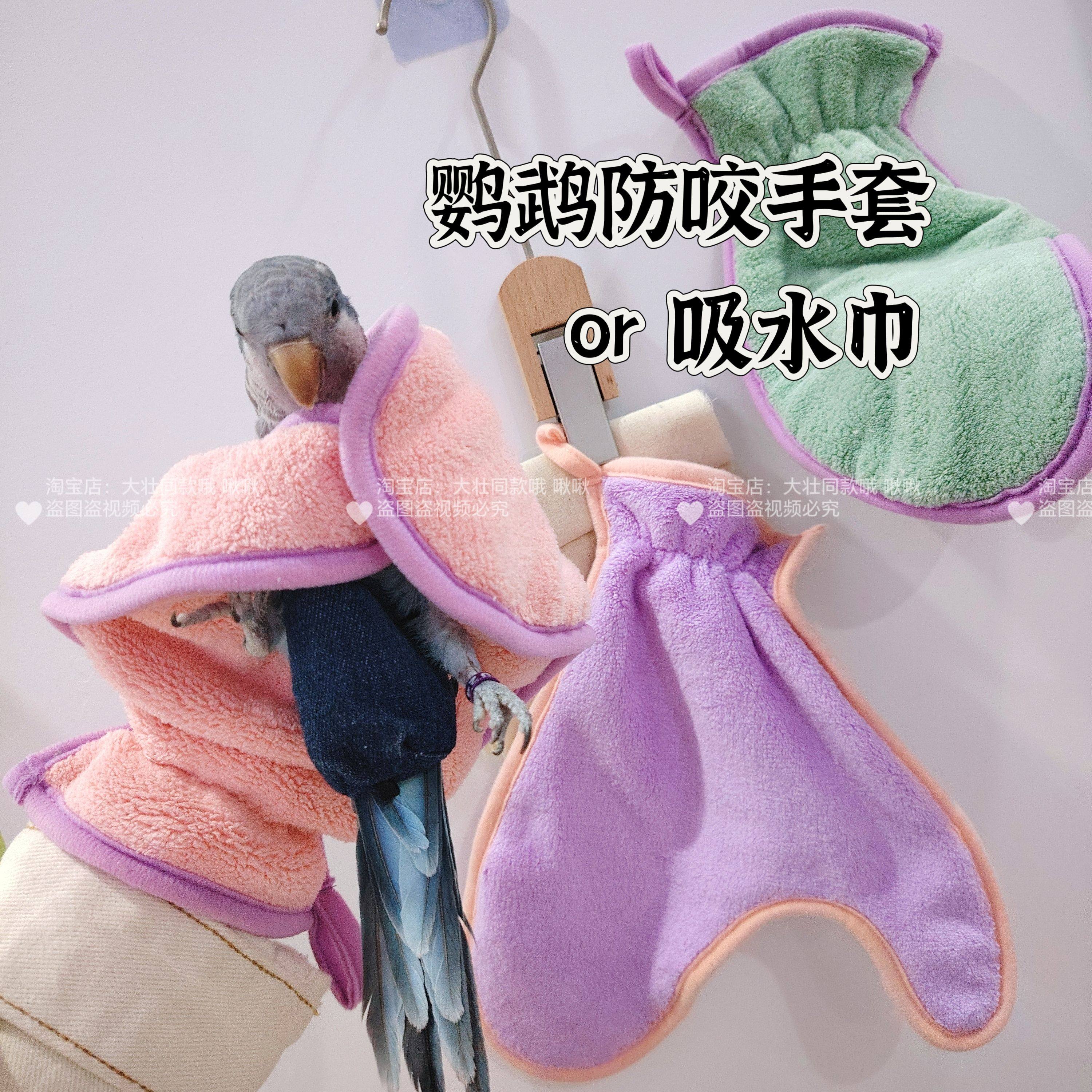 手养鹦鹉防咬手套宠物抓鸟吸水手套鹦鹉训练鸟防护手套鸟用品,宠物/宠物食品及用品,鸟禽其他,淘宝优惠券,粉丝福利购,淘宝优惠卷