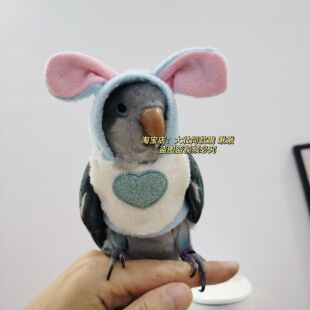 粉蓝款鸟衣服玄凤鹦鹉小中型鸟保暖用品加厚款衣服飞行服鹦鹉