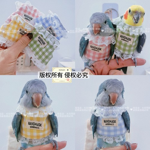 格子蕾丝款宠物鹦鹉鸟超轻背带背心外出牵引衣服防止飞丢飞行服