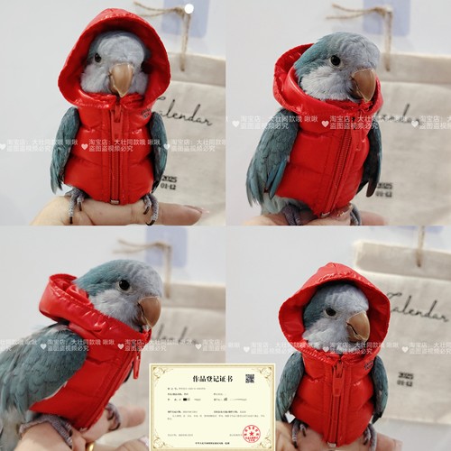 鹦鹉羽绒服鸟衣服鹦鹉棉外套玄凤加厚保暖外出服鹦鹉用品鸟用品