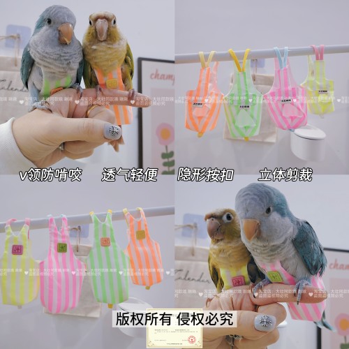 小鹦鹉荧光条纹尿不湿v领金属按扣鸟用牡丹小太阳屎尿便兜尿裤