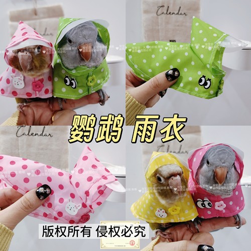 宠物鹦鹉波点雨衣防水雨天衣服小中型全包雨披鸟用品可爱鸟雨衣