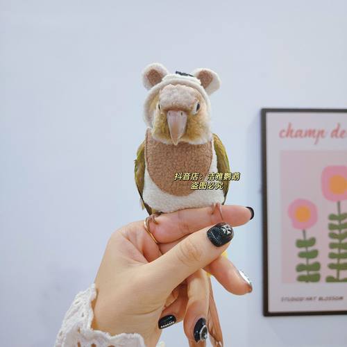 小型宠物玄凤鹦鹉鸟衣服冬季加绒加厚保暖卫衣飞行棉服小熊造型