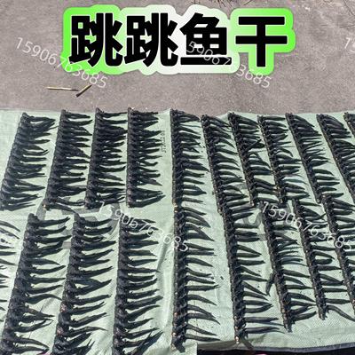 弹涂鱼干台州跳跳鱼澜胡弹胡特级孕产妇补品海鲜干