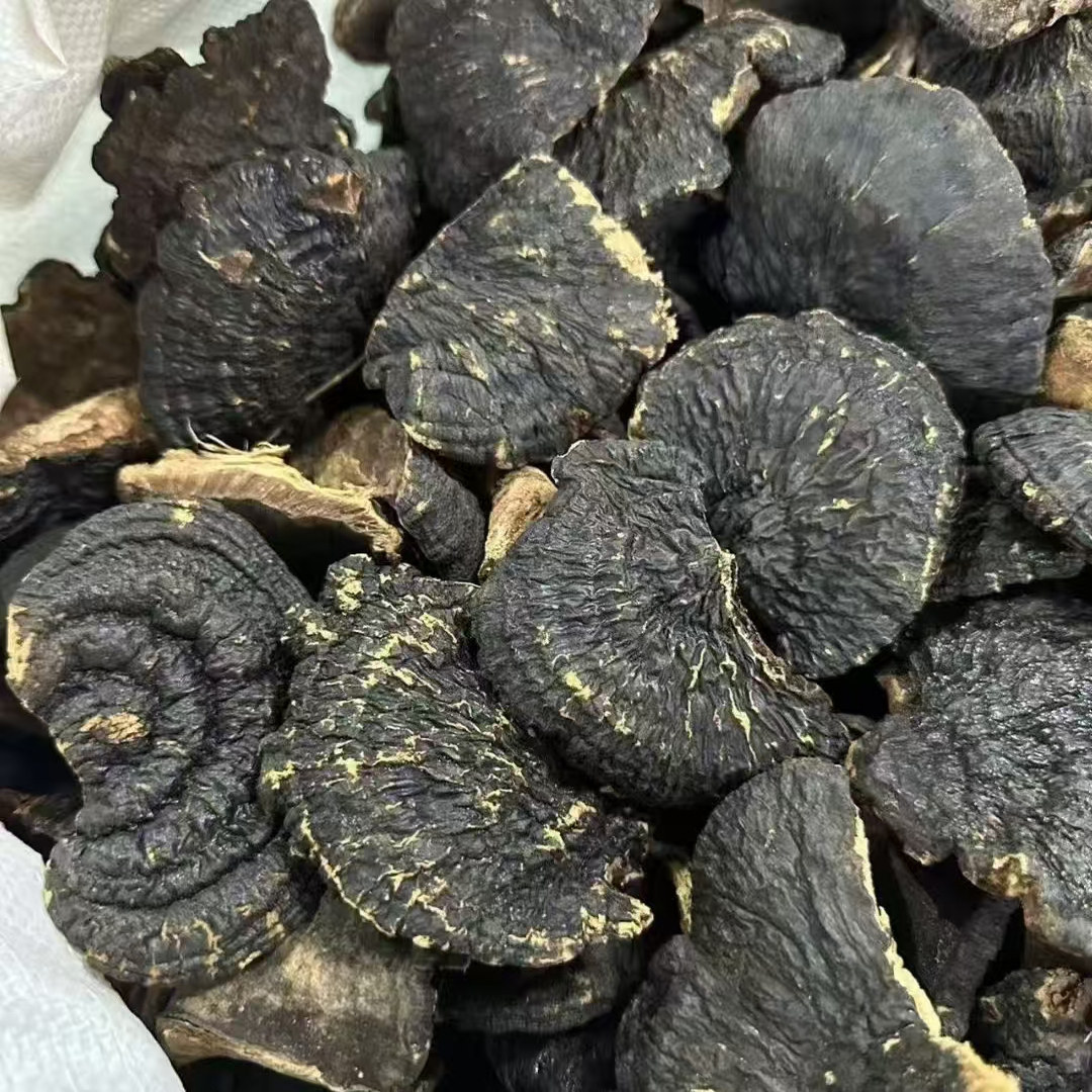 小号海南无硫薄树芝500g包邮