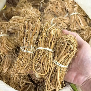 广东粤北山区五指毛桃根新鲜特级农家五爪龙500g特产煲汤材料干货