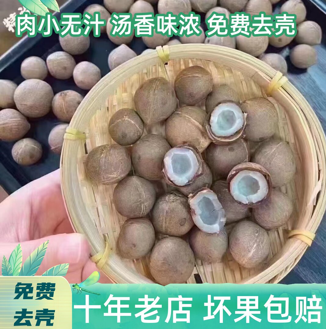 海椰皇迷你小椰皇非州椰皇小奶椰圆粒椰子王椰青奶香椰子煲鸡汤料