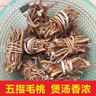 广东始兴农家五指毛桃五爪龙树根滋补老根可斩碎炖鸡煲汤料500克