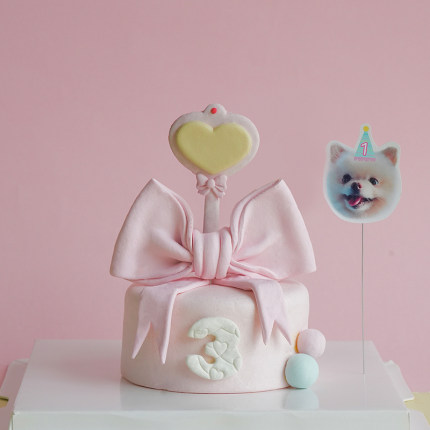 【小狗的蛋糕会魔法】宠物蛋糕纯肉馅料狗狗猫咪生日蛋糕北京同城
