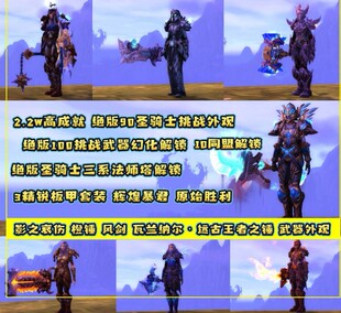 魔兽世界账号圣骑士双黄金辉煌原始暴烈残虐血仇精锐风剑法师塔