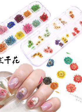 混装光疗日系天然植物花瓣美甲