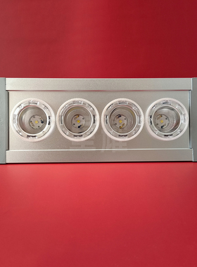 NFC9121LED顶灯应急4*1W照明NFE9121应急吸顶防腐4*3W通道泛光灯