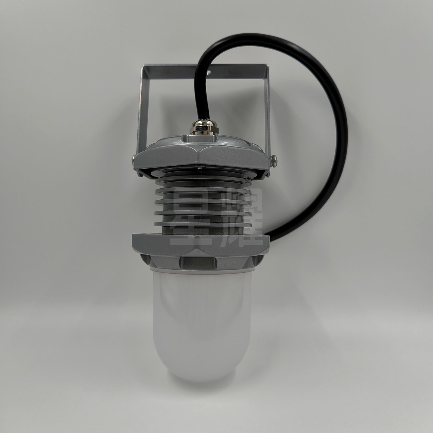 FW6325LED低压行灯12/24/36/220V吊挂手持式照明防眩泛光工作10W - 实物图