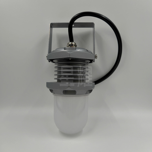 FW6325LED低压行灯12/24/36/220V吊挂手持式照明防眩泛光工作10W