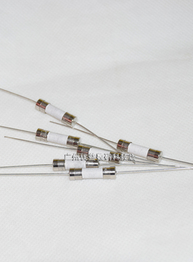 电磁炉专用保险丝管慢断5X20mm陶瓷带引线双帽250VT10A12A15AT20A