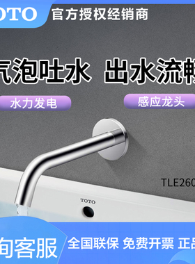 TOTO自动感应龙头TLE26004B/TLE26005B入墙感应冷热出水龙头(05)