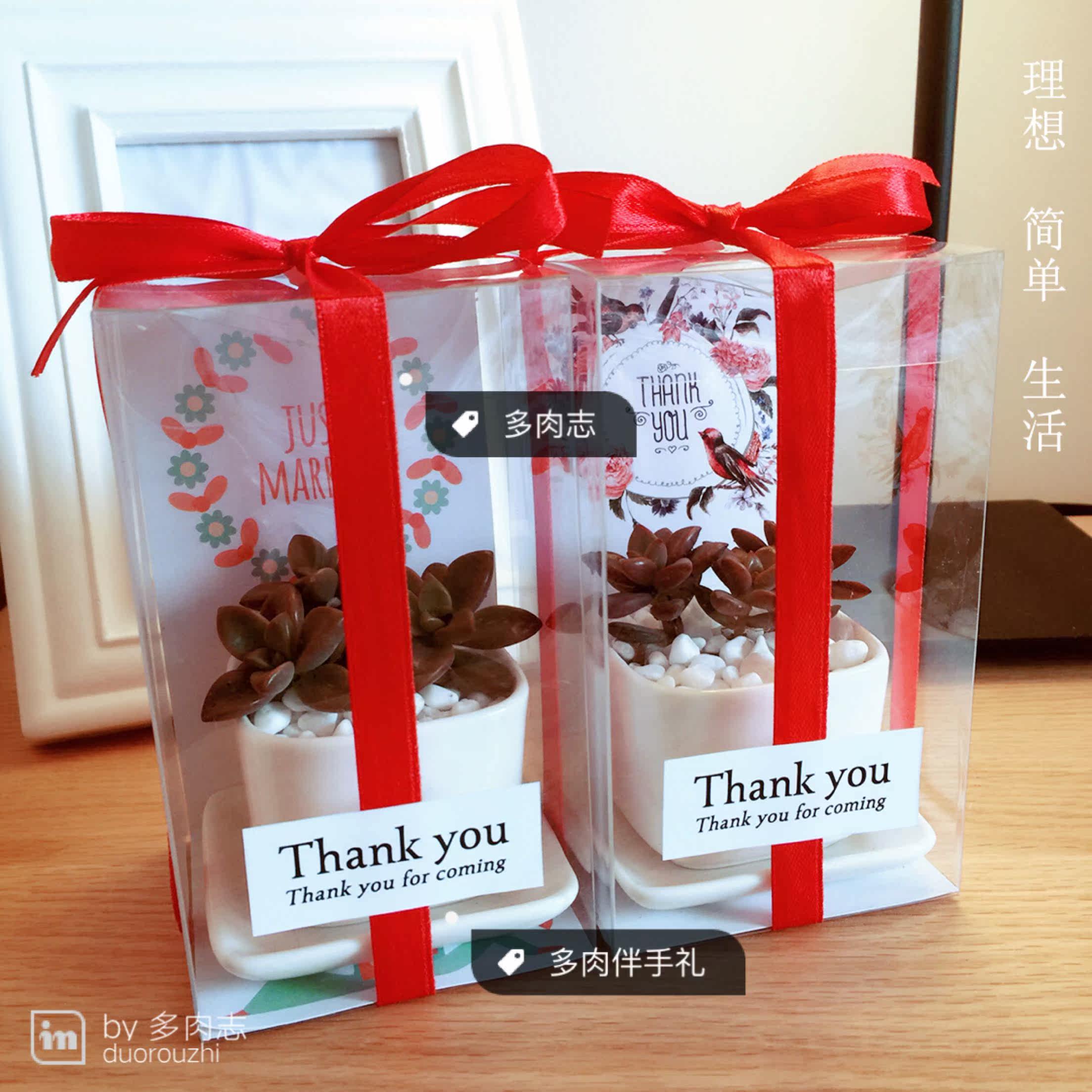 植物系多肉盆栽组合伴手礼