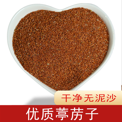 优质葶苈子中药材无硫新货无杂质