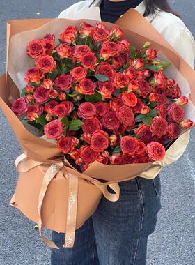 巧克力泡泡灌木丰花勤花多头群开盆栽地载阳台庭院新手月季扦插苗