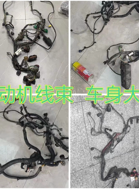 适用宝马F20E66E70E71F15G20E46Z4发动机线束车身机仓保险丝盒