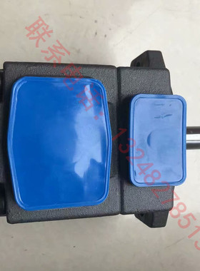 叶片泵PVF1-14-FR PVL1-17 PV2R1-19 PV2R1-23F定量21MPA现货批发