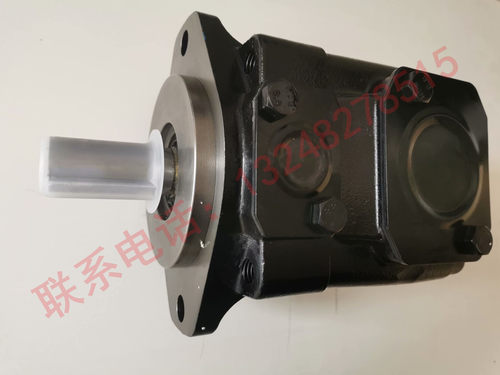 T7DS-E31-1R01-A5MW柱销式叶片泵T7DB叶片泵厂家直销低噪音叶片泵