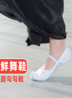 红舞鞋朝鲜族传统舞蹈鞋女软底勾勾鞋白色古典舞鞋练功鞋10053