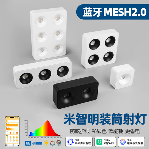 接入米家APP智能明装筒灯斗胆灯