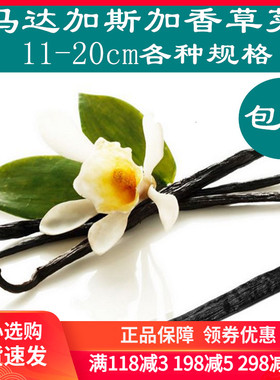 马达加斯加特级香草荚/香草条/香草棒 烘焙原料15-17cm1根包邮