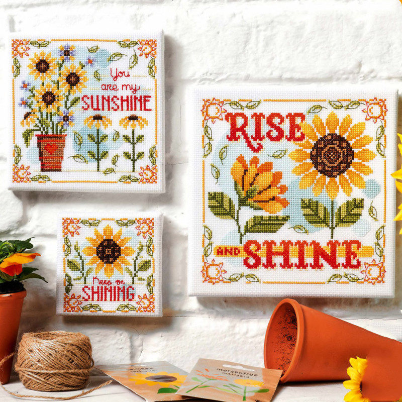 多金绣铺十字绣自配套件DMC/R线/ANC安卡线/精准印花A064向日葵