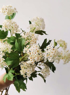 仿真花山野小绣球假花桌面摆放花卉婚庆新娘摄影道具单枝白色绢花