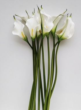 简约高品质白色马蹄莲海芋逼真假花样板房仿真婚礼拍摄写真手捧花