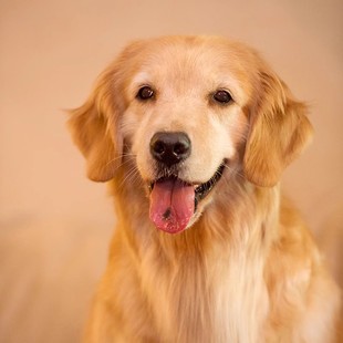 1元 抽奖 0元 秒杀 直播排序