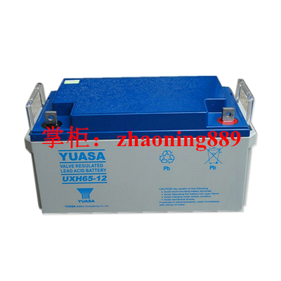 YUASA/汤浅蓄电池UPS中国65Ah