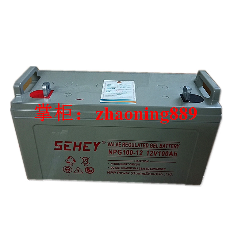 西力sehey npg100-12 12v100ah ups eps 直流屏 通信 船舶 蓄电池