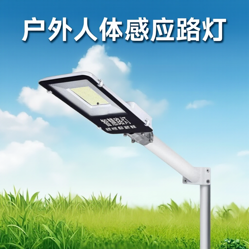 光控感应led路灯头小区路灯新农村防水户外220V天黑亮灯人体感应
