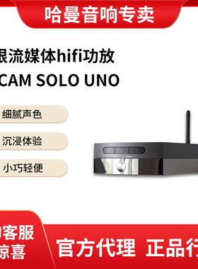 雅俊 ARCAM SOLO UNO 无线流媒体功放HIFI发烧级书架音箱放大器