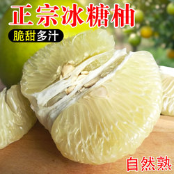 雪峰冰糖白心金兰脆甜柚子水果